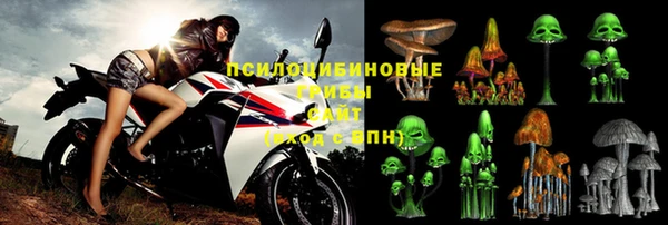гидропоника Елизово
