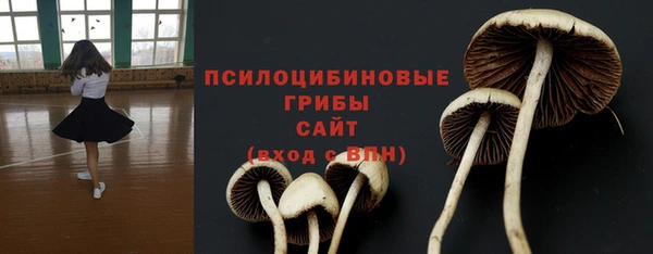 крисы Дмитриев