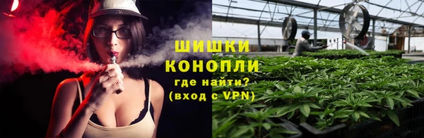 МДПВ Дмитровск