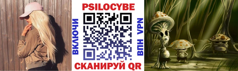 Псилоцибиновые грибы Psilocybine cubensis  Купить  Усолье-Сибирское 