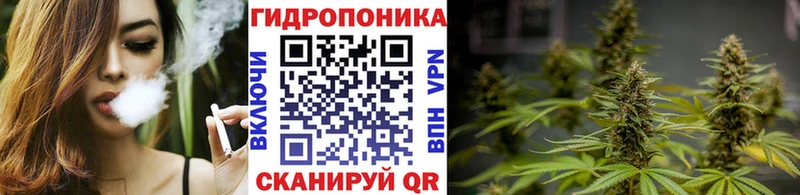 Шишки марихуана OG Kush  Купить  Усолье-Сибирское 